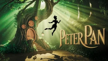Peter Pan Escape Room
